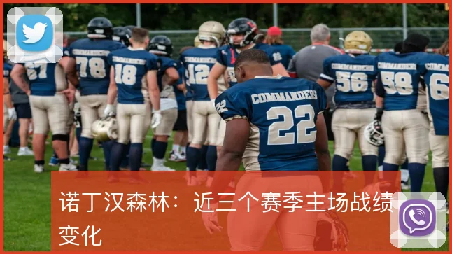 诺丁汉森林:近三个赛季主场战绩变化